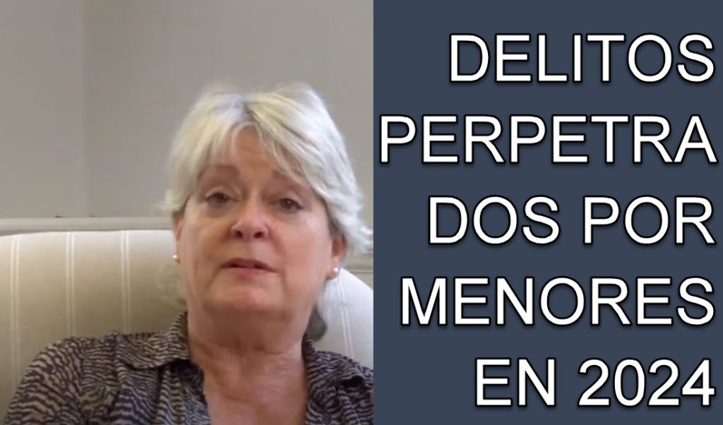 DELITOS PERPETRADOS POR MENORES EN 2024